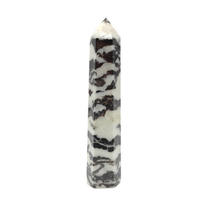 Zebra Jasper Point # 64