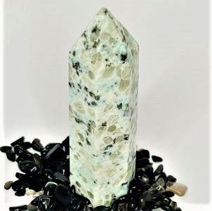 Kiwi Jasper Point #108