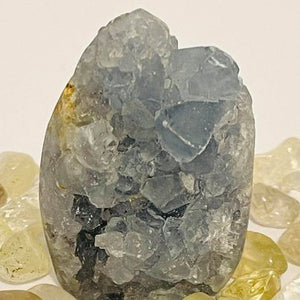 Celestite Cluster #110