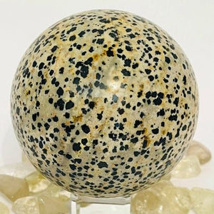 Dalmatian Jasper Sphere #122