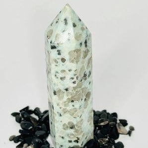 Kiwi Jasper Point #135