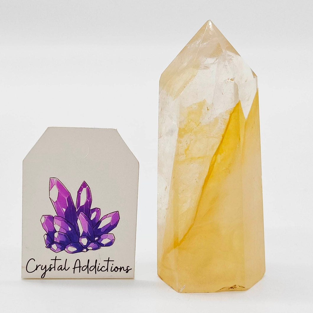 Golden Healer Point #51