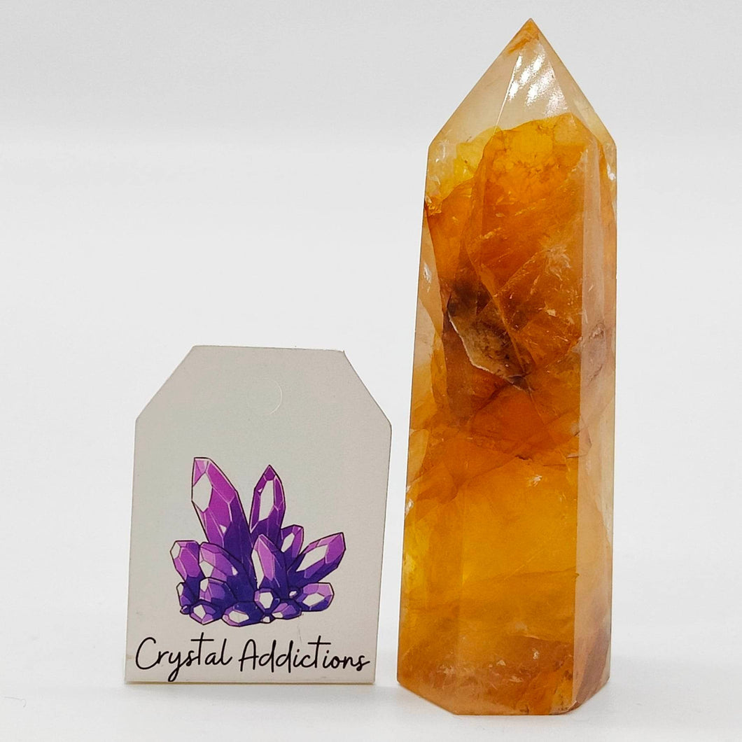 Golden Healer Point #32