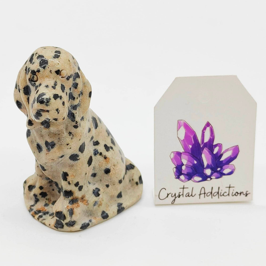 Dalmatian Jasper Dog # 17