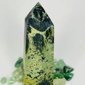 Kambaba Jasper Point # 35