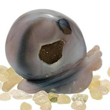 Load image into Gallery viewer, Agate Druzy Snail #44
