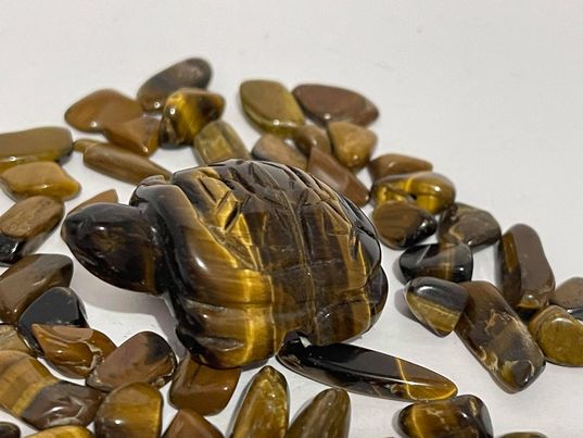 Tiger's Eye Turtle #58