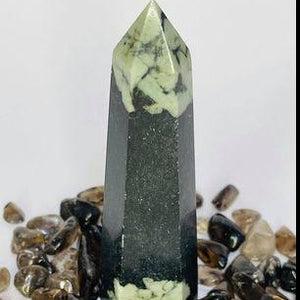Chrysanthemum Stone Point # 64
