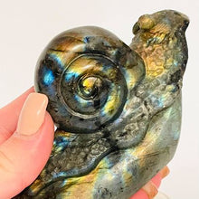 Load image into Gallery viewer, Labradorite Snail #99
