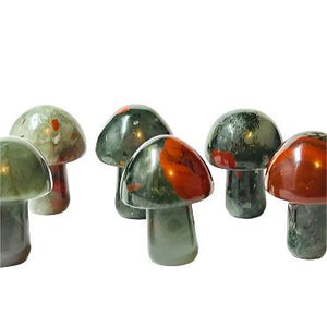 African Bloodstone Mini Mushroom