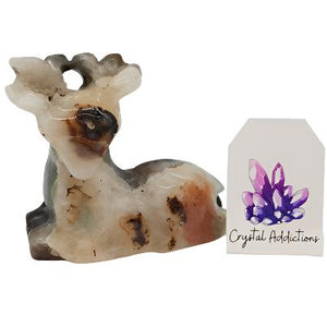 Agate Deer # 64