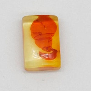 Amber Cabochon # 25