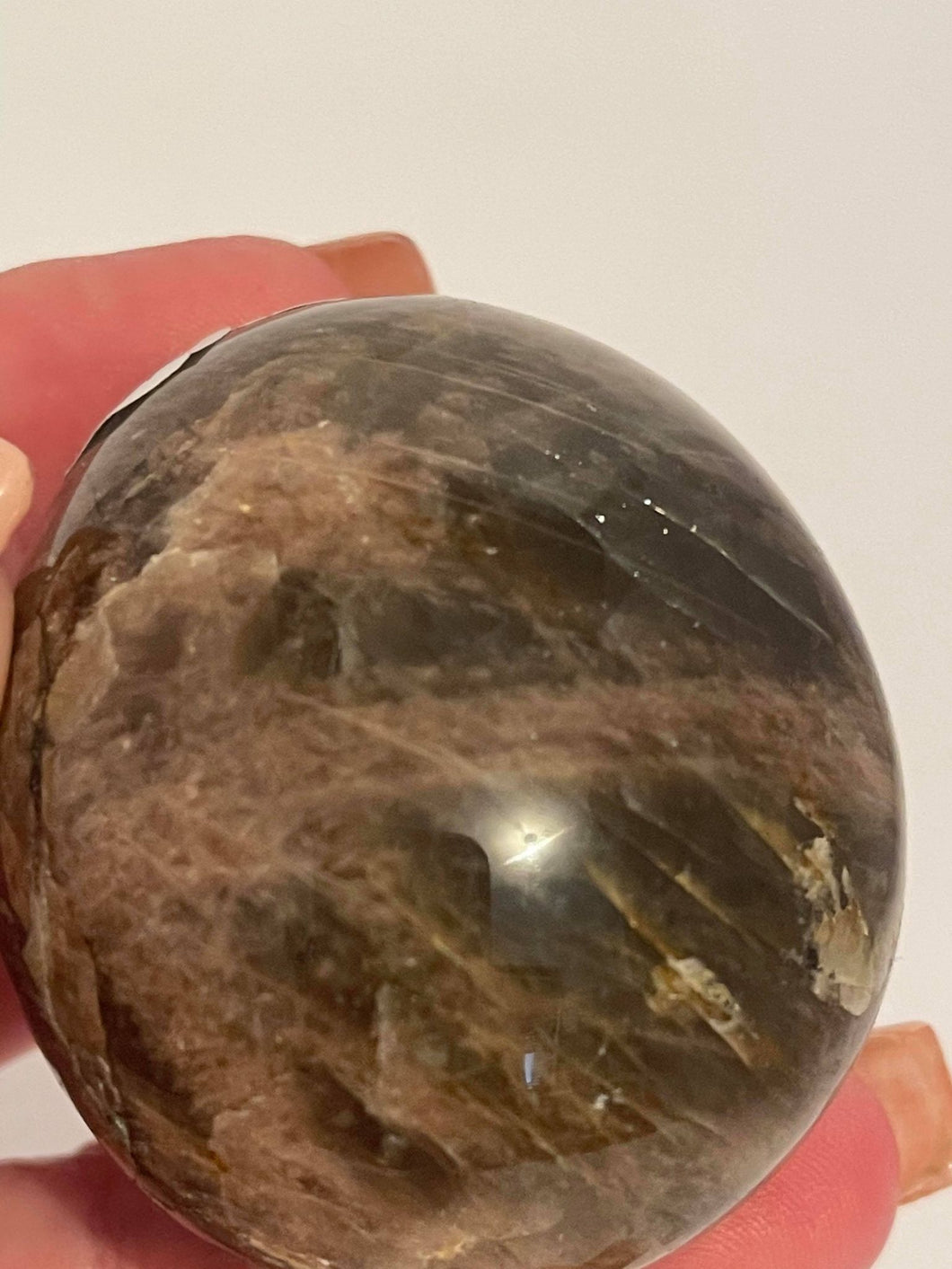 Black Moonstone Palm Stone #170