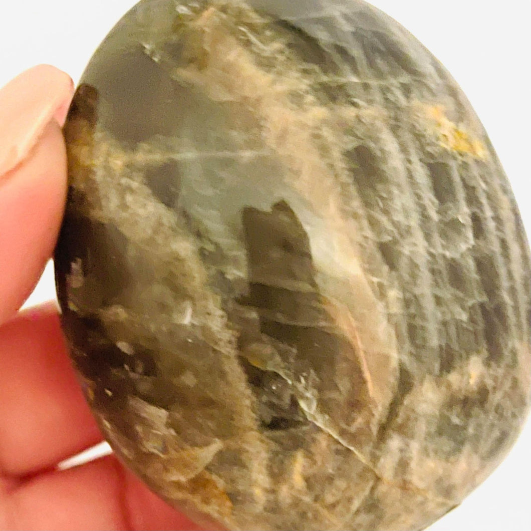 Black Moonstone Palm Stone #174