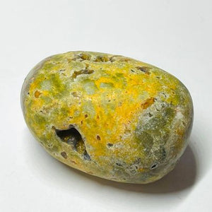 Bumblebee Jasper XL Tumble # 38