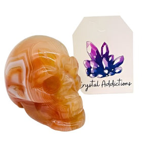 Carnelian Skull # 148