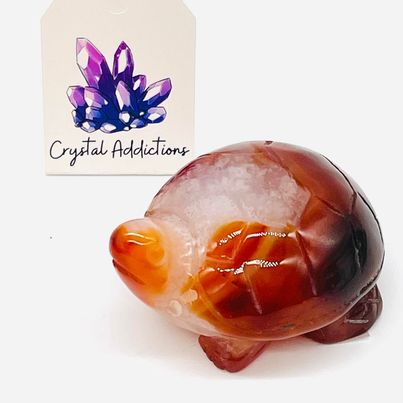 Carnelian Turtle # 52