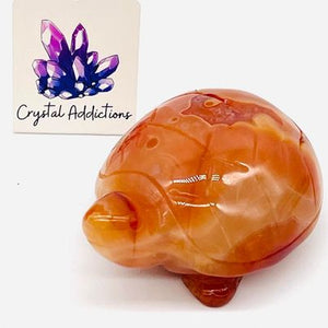 Carnelian Turtle # 66