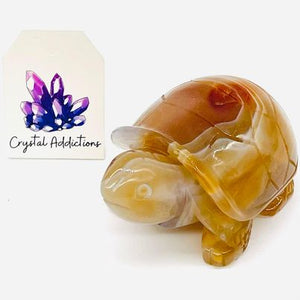 Carnelian Turtle # 72