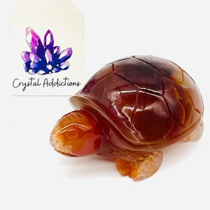 Carnelian Turtle # 76