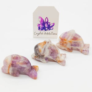 Chevron Amethyst Dolphins