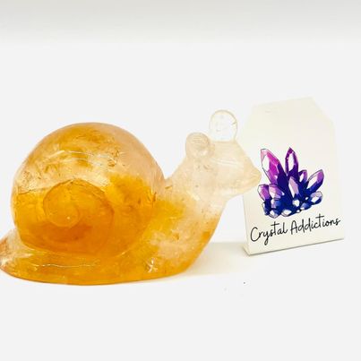 Citrine Snail # 41