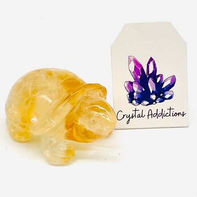 Citrine Turtle # 65 PI