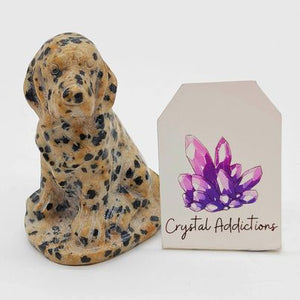 Dalmatian Jasper Dog # 124