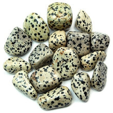 Load image into Gallery viewer, Dalmatian Jasper Tumble
