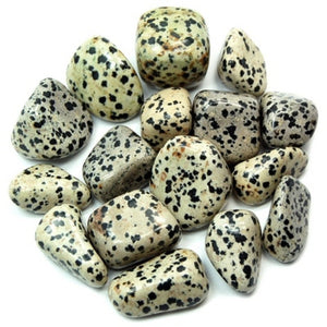 Dalmatian Jasper Tumble