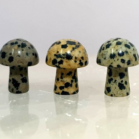 Dalmatian Jasper Mini Mushroom