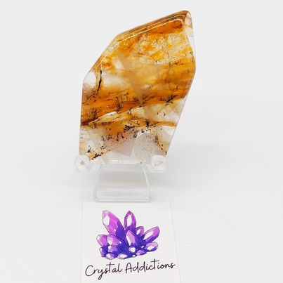 Dendritic Agate Freeform # 155