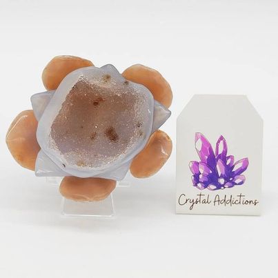 Druzy Agate Lotus Flower # 158