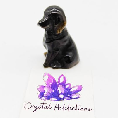 Golden Sheen Obsidian Dog