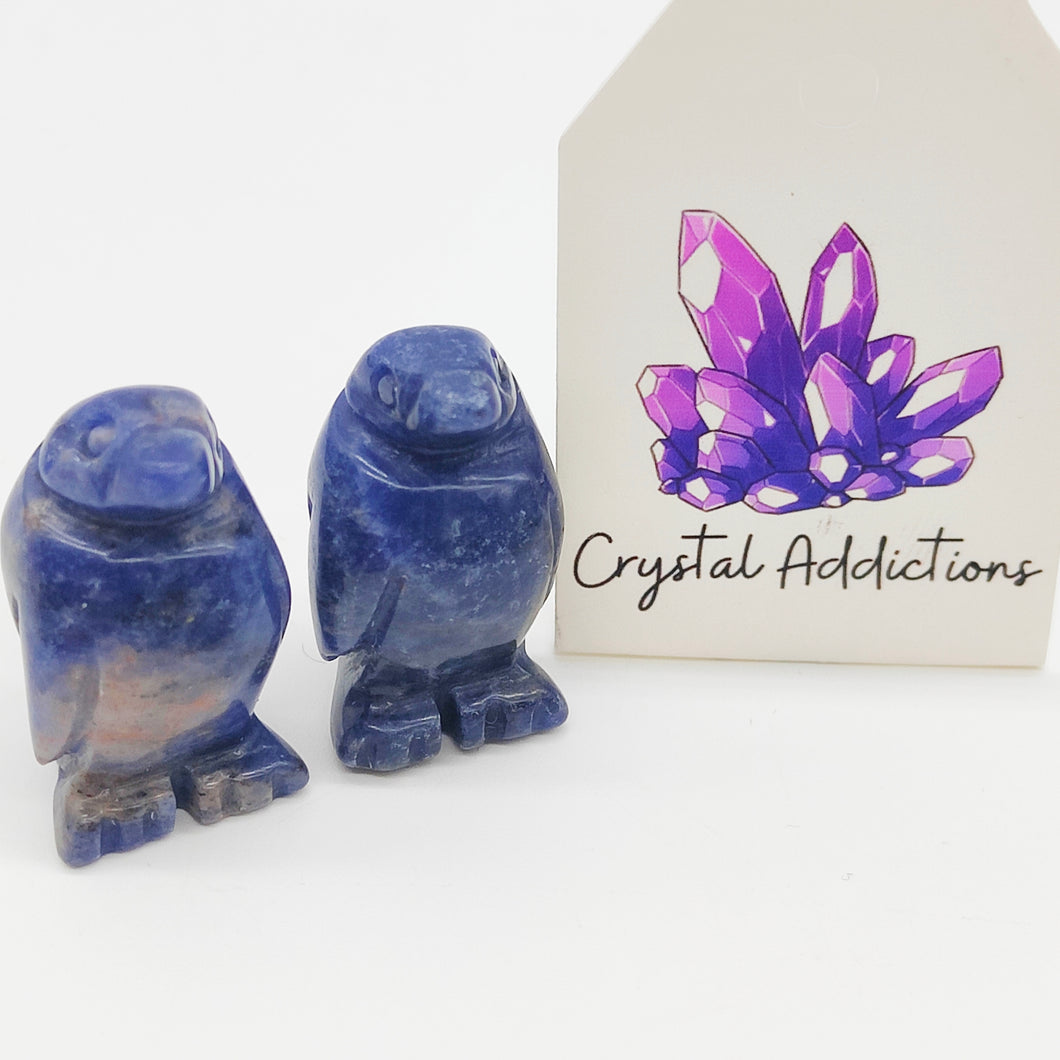 Sodalite Mini Penguins