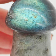 Load image into Gallery viewer, Labradorite Mushroom # 105
