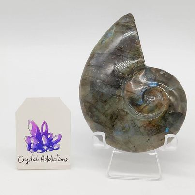 Labradorite Snail # 6