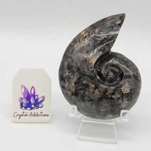 Larvikite Snail # 102