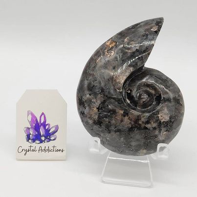 Larvikite Snail # 102