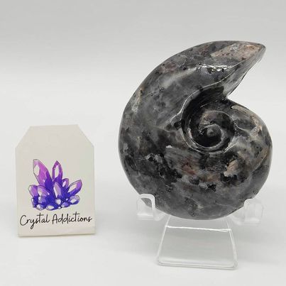 Larvikite Snail # 52