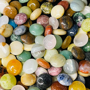 Polished Button Chips Assorted