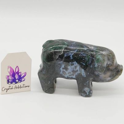 Moss Agate Pig # 199