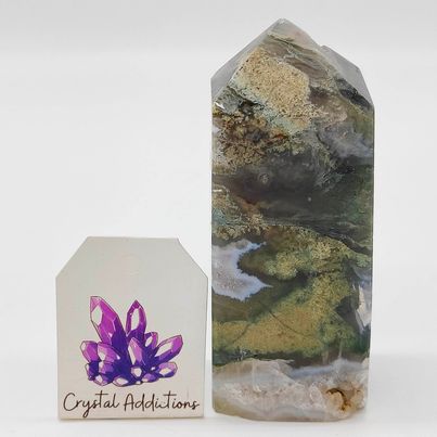 Moss Agate Point # 125