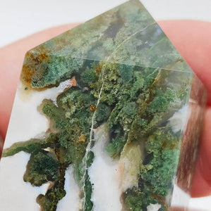 Moss Agate Point # 184