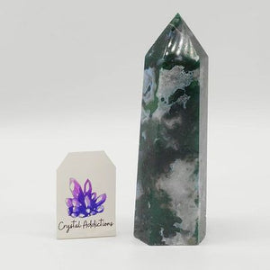 Moss Agate Point # 163