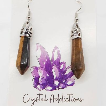 Tiger's Eye Pendulum Earrings