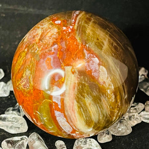 Petrified Wood Sphere #164