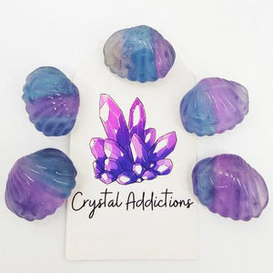 Rainbow Fluorite Mini Seashell