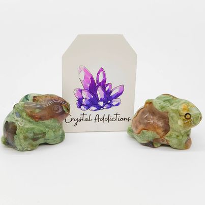 Rainforest Jasper Rabbits