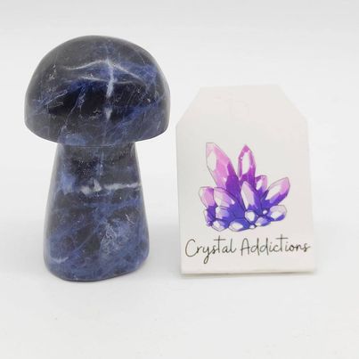 Sodalite Large Mushroom # 147